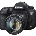 7dmarkii