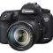 7dmarkii