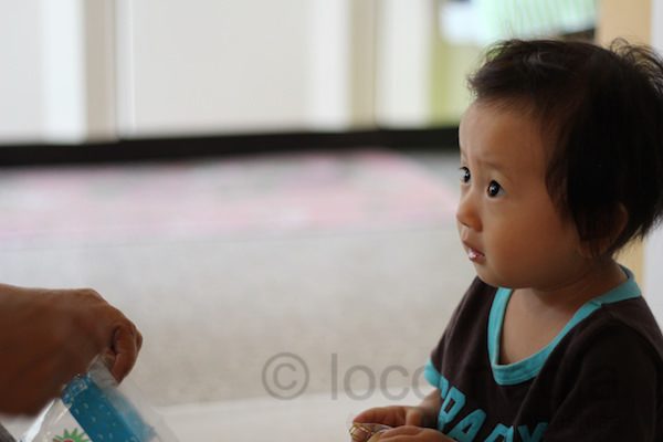 一眼カメラで撮影した幼児のポートレート写真、背景ぼけを活かした作例