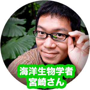 宮崎さん