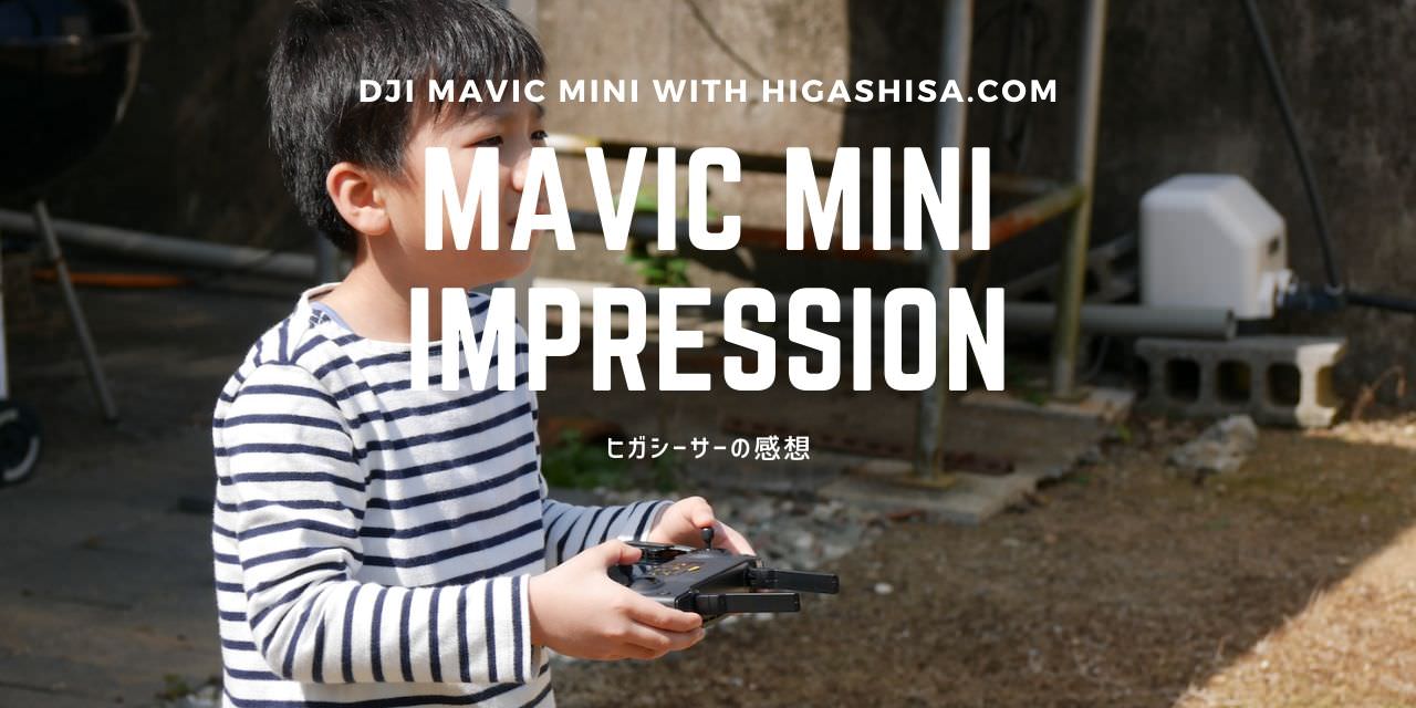 How To DJI Mavic Mini (1)
