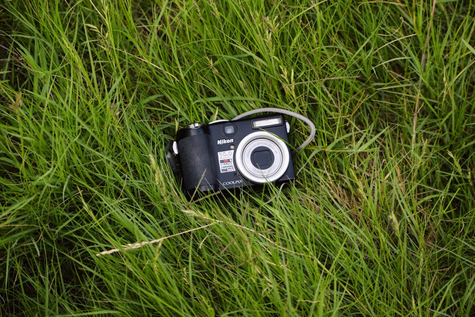 動作確認済 Nikon COOLPIX S9900 デジタルカメラ Amazon.com : Nikon COOLPIX S9900 Digital Camera with 30x Optical